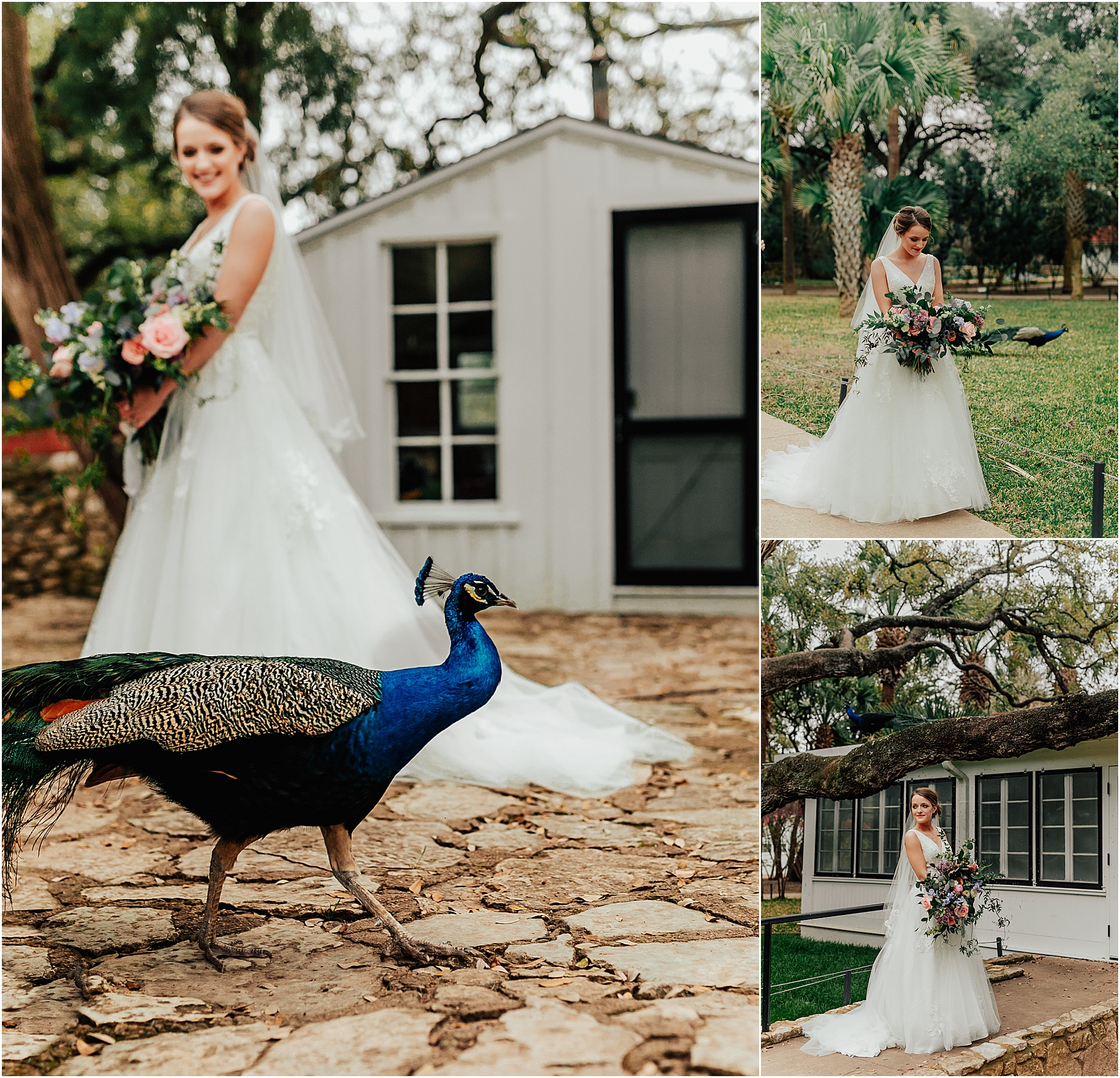 austin-peacock-bridal-photogaphy-photobyjoy
